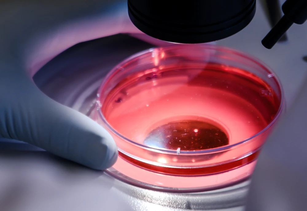 1000x Computer Microscope