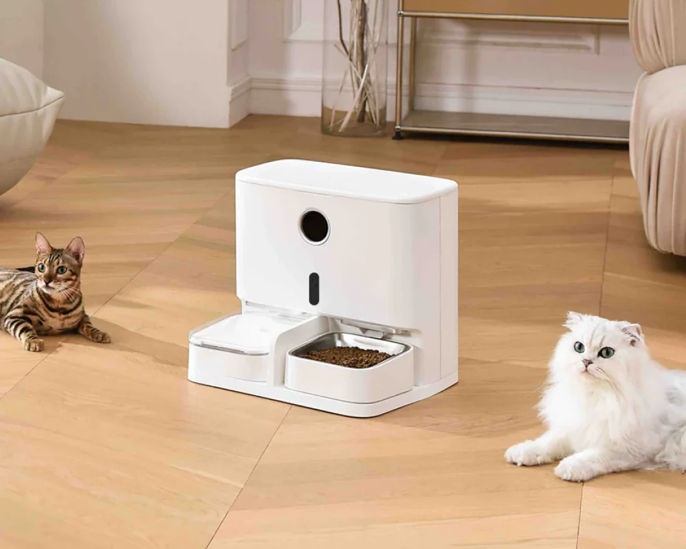 Best Cat Feeder with Camera